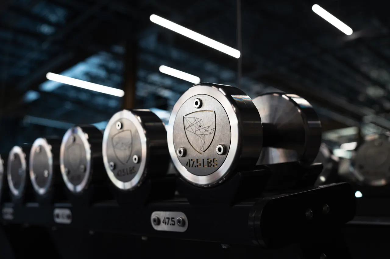 Dumbbells stamped with the Kingdom shield