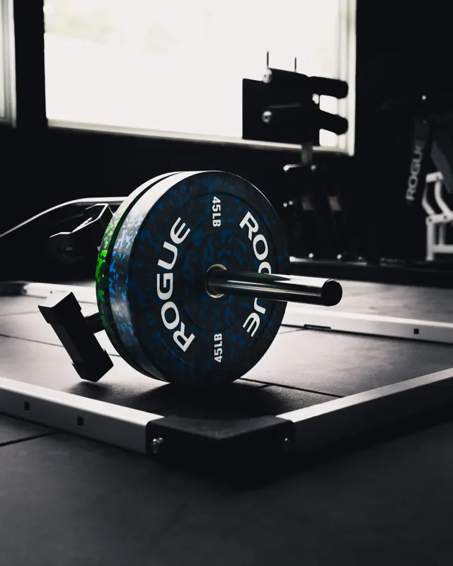 Rogue bumper plate in window light