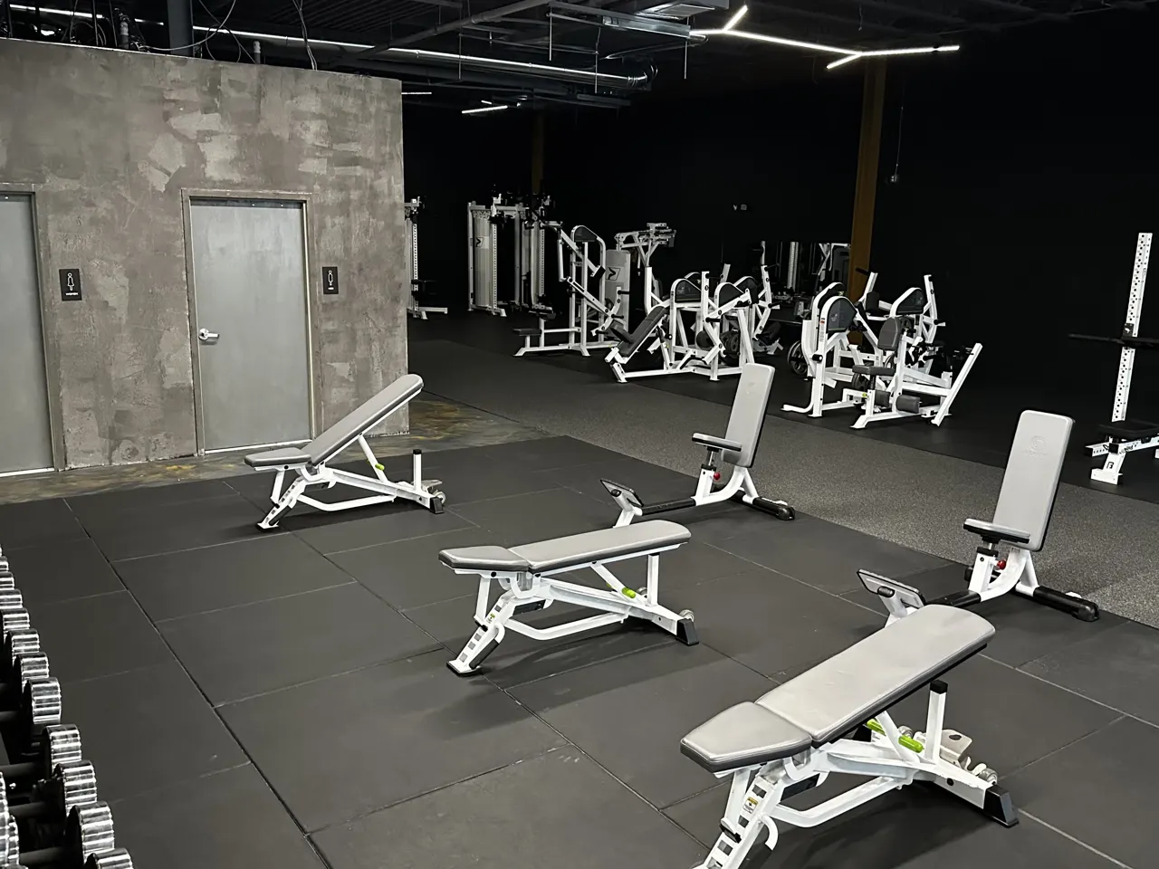 The Kingdom Gym floor: white plate-loaded machines on black rubber
